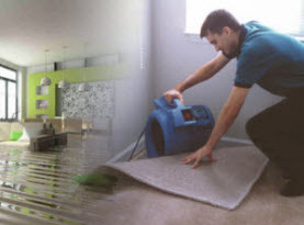 Upholstery cleaning las Vegas - upholstery cleaner